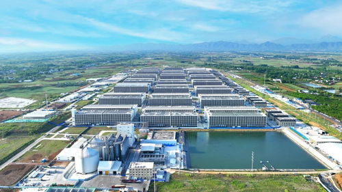 生猪产业勇闯关 探访牧原股份宜昌软件开发中心