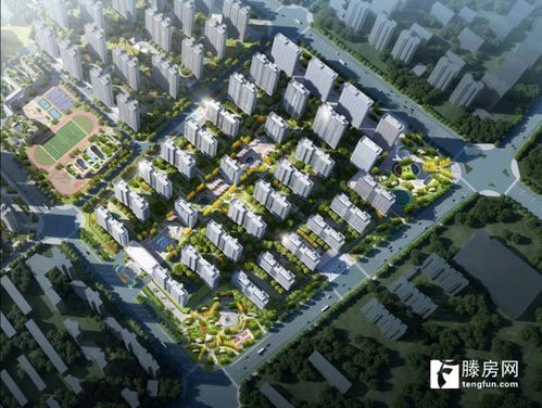 如何实现房地产高质量发展 滕州城建集团在梁场这个项目给出了答案